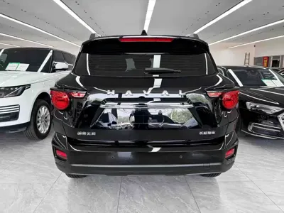 Haval 哈弗大狗 PLUS 2024, 85500 км, за 85500 CNY - фото 5