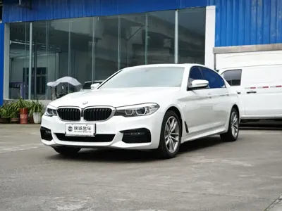 BMW 5 Series · 2019 год