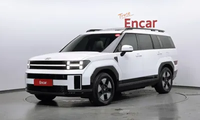 Hyundai Santafe · 2024 год