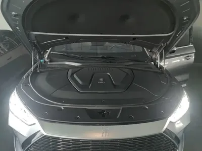 BYD PLUS New Energy 2021, 63000 км, за 61200 CNY - фото 20