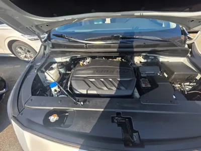 Kia Canival 2020, 56261 км, за 14500000 KRW - фото 6