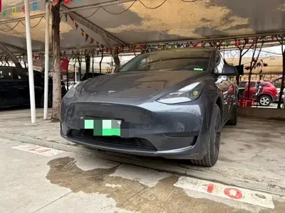 Tesla Model Y · 2025 год