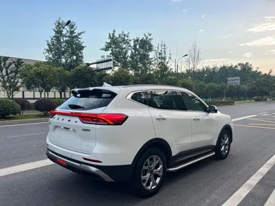 Haval H6 2022, 51800 км, за 75800 CNY - фото 6