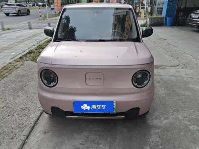 Galaxy Panda 2023, 51800 км, за 28800 CNY