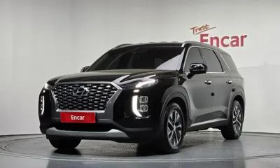Hyundai Palisade · 2019 год