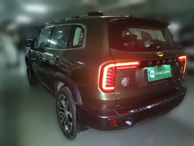 Haval Dargo 2021, 63500 км, за 70189.03 CNY