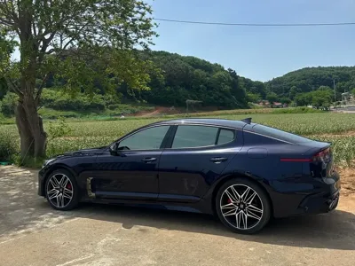 Kia Stinger 2021, 49500 км, за 30000000 KRW - фото 6