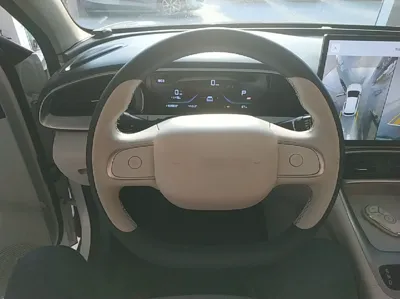 Geely Galaxy Geome 2025, 118300 км, за 69278.74 CNY - фото 14