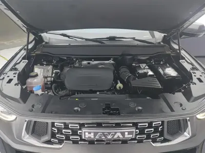 Haval 哈弗大狗 PLUS 2023, 40599 км, за 84200 CNY - фото 10