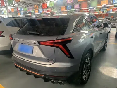 Haval Shenshou 2022, 48800 км, за 71300 CNY - фото 11
