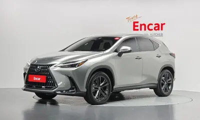 Lexus NX · 2025 год