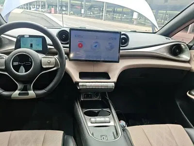 BYD Dolphin 2023, 76500 км, за 60400 CNY - фото 10
