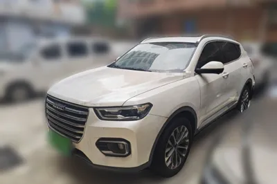 Haval H6 · 2020 год