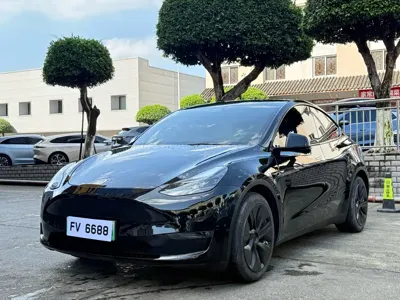 Tesla Model Y · 2021 год