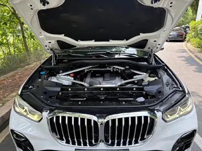 BMW X5 (Import) 2020, 98000 км, за 259800 CNY - фото 19