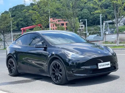 Tesla Model Y · 2021 год