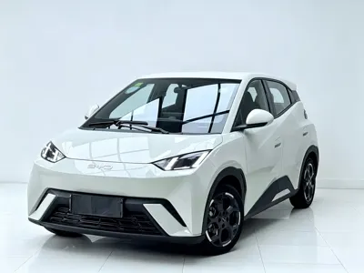 BYD Seagull · 2025 год