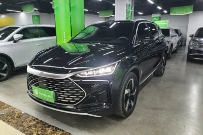 BYD Tang New Energy · 2024 год