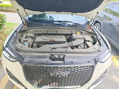 Haval F5 2020, 88000 км, за 41100 CNY - фото 11