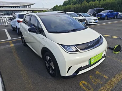BYD Dolphin 2023, 38900 км, за 82656.51 CNY