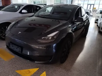 Tesla Model Y · 2024 год