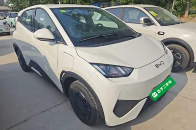 BYD Seagull 2025, 100 км, за 71310.7 CNY