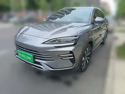 BYD PLUS New Energy · 2024 год