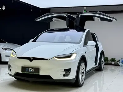 Tesla Model X · 2019 год
