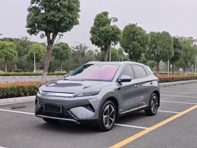 BYD Yuan Plus · 2025 год