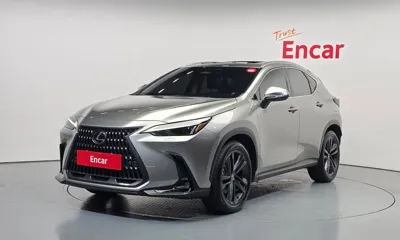 Lexus NX · 2024 год
