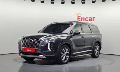 Hyundai Palisade · 2019 год