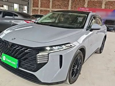 Venucia V · 2021 год