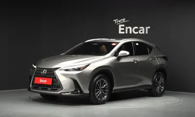 Lexus NX · 2024 год