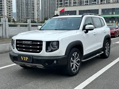 Haval Big Dog · 2020 год