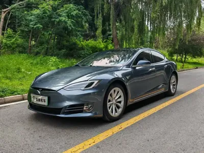 Tesla Model S · 2019 год