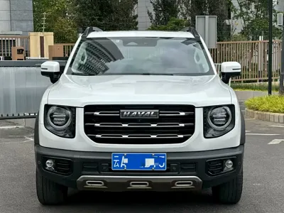 Haval Big Dog 2022, 62000 км, за 71800 CNY - фото 2