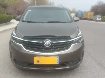 Buick GL8 · 2020 год