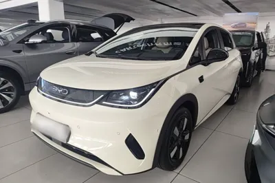 BYD Dolphin · 2025 год
