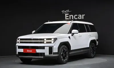 Hyundai Santafe · 2024 год