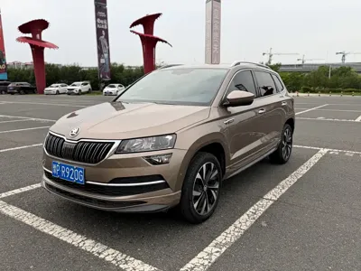 Skoda Karoq · 2022 год
