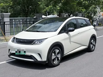 BYD Dolphin · 2023 год