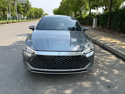 BYD Qin Plus · 2024 год