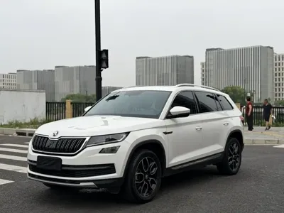 Skoda Kodiaq · 2018 год