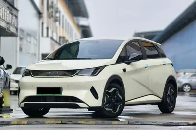 BYD Dolphin · 2025 год