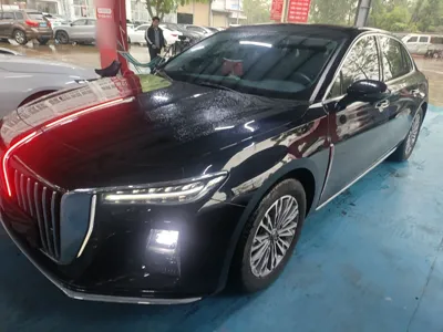 Hongqi H5 · 2024 год