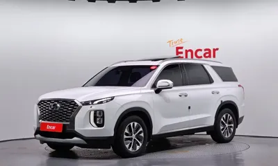 Hyundai Palisade · 2019 год