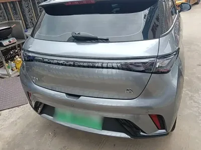 BYD Dolphin 2024, 19600 км, за 59700 CNY - фото 6