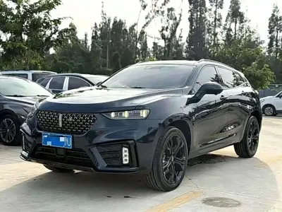 WEY Wey VV7 · 2020 год