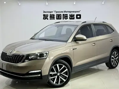 Skoda Kamiq · 2023 год