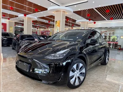 Tesla Model Y · 2023 год